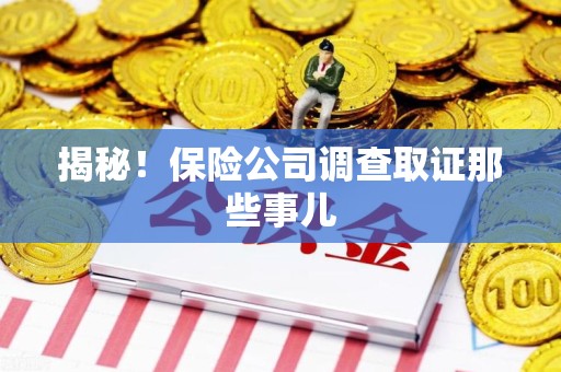 永春揭秘！保险公司调查取证那些事儿
