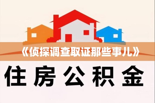 永春《侦探调查取证那些事儿》