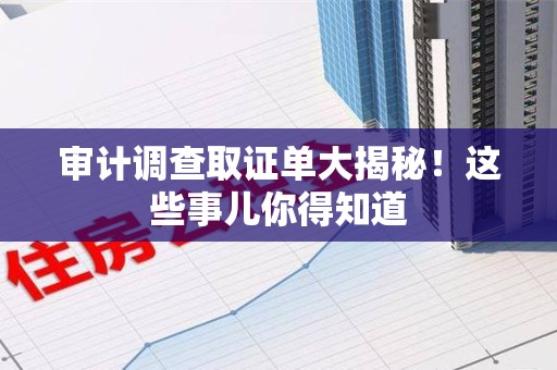 永春审计调查取证单大揭秘！这些事儿你得知道