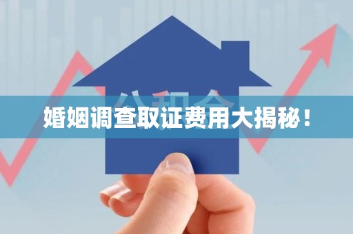 永春婚姻调查取证费用大揭秘！