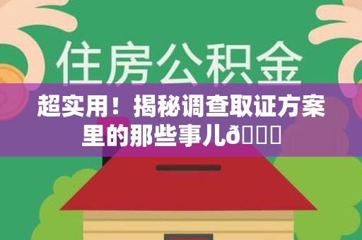 永春超实用！揭秘调查取证方案里的那些事儿😎