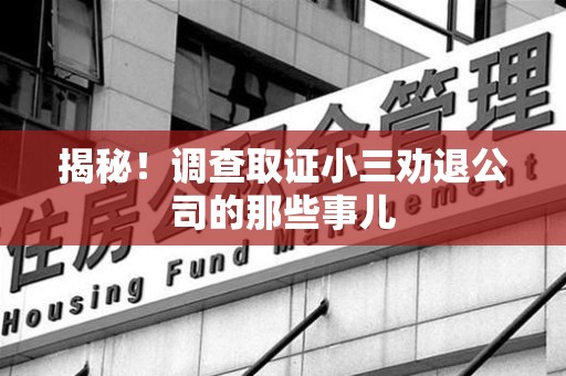 永春揭秘！调查取证小三劝退公司的那些事儿