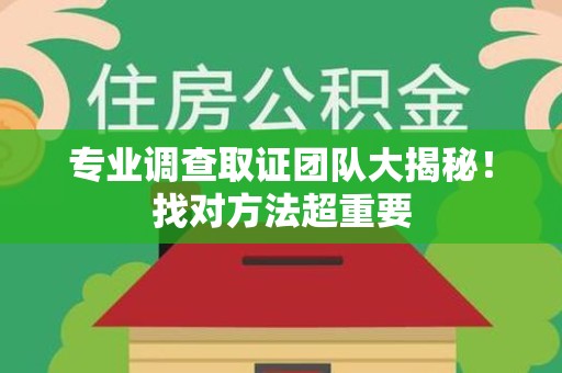 永春专业调查取证团队大揭秘！找对方法超重要