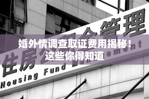 永春婚外情调查取证费用揭秘！这些你得知道
