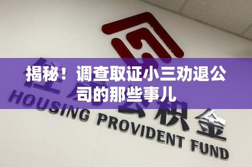 永春揭秘！调查取证小三劝退公司的那些事儿