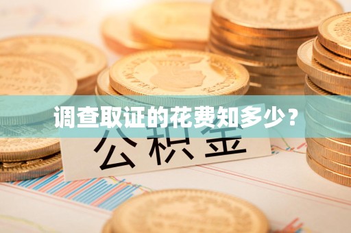 永春调查取证的花费知多少？