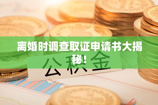 永春离婚时调查取证申请书大揭秘！